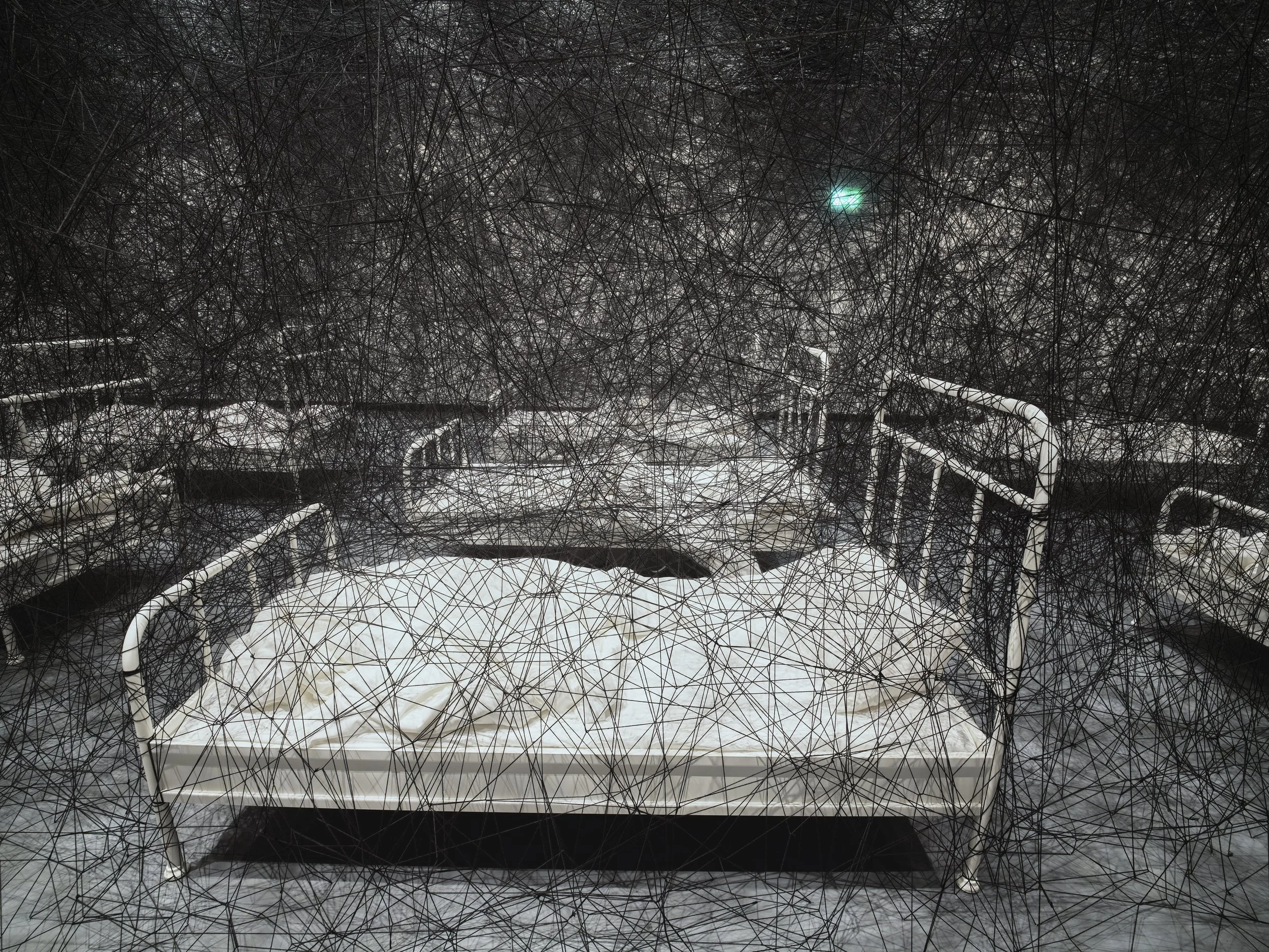 その他 buyee chiharu CHIHARU SHIOTA–塩田千春